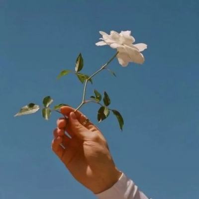 不要被女友抓到你出轨游戏下载